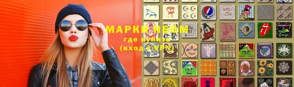 индика Краснотурьинск