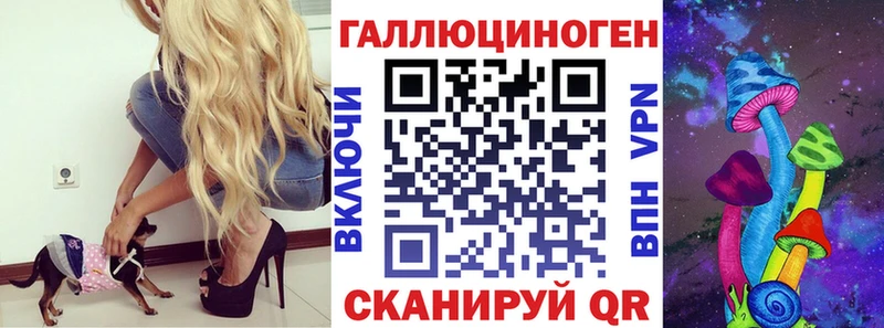blacksprut зеркало  Кораблино  даркнет клад  купить наркотик  Псилоцибиновые грибы Psilocybine cubensis 