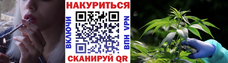 МАРИХУАНА конопля Кораблино